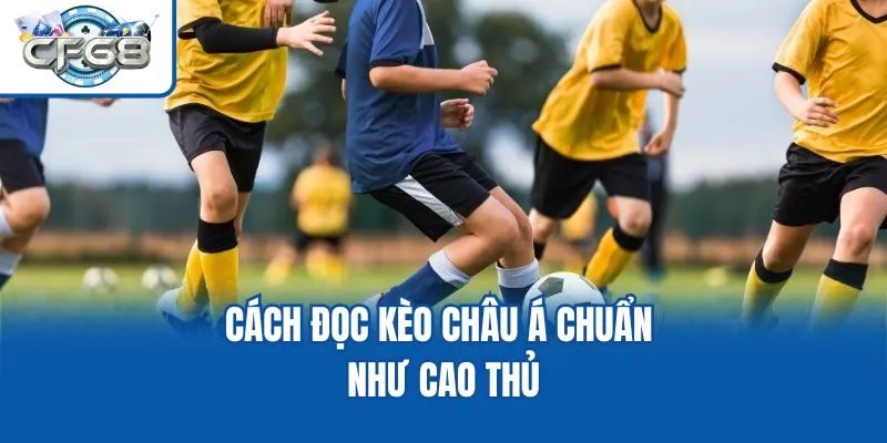 Cách đọc kèo châu Á chuẩn như cao thủ