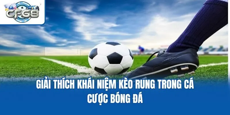 Giải thích khái niệm kèo rung trong cá cược bóng đá