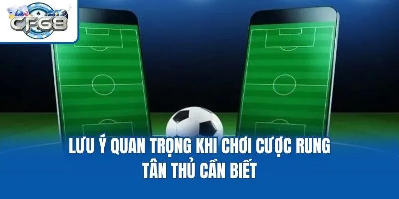 Lưu ý quan trọng khi chơi cược rung tân thủ cần biết